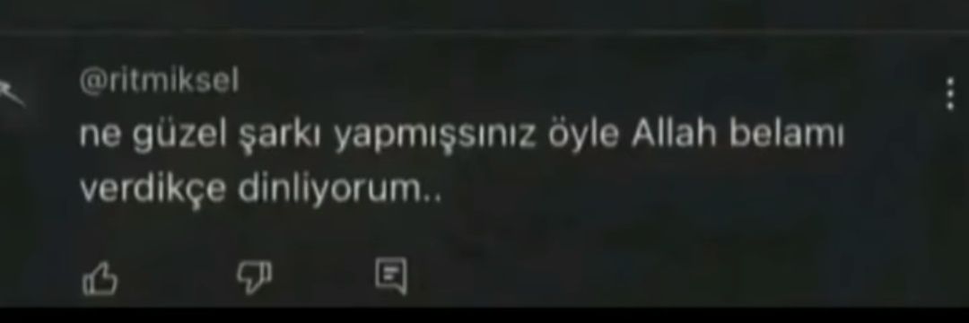 Se . ( Leif Hallowleaf ) banner