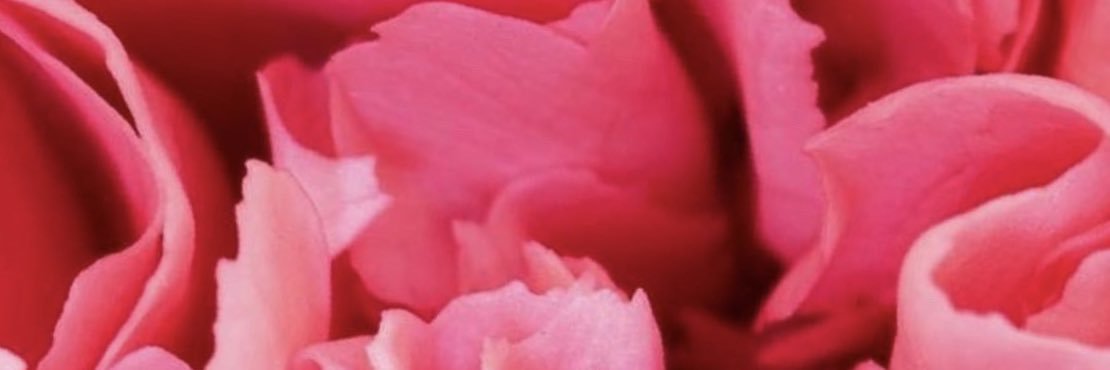 GoofyGemini banner