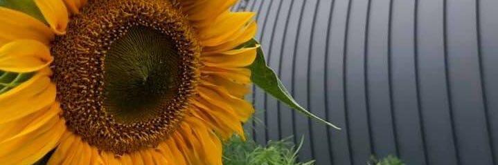 Compagnie des Contraires banner