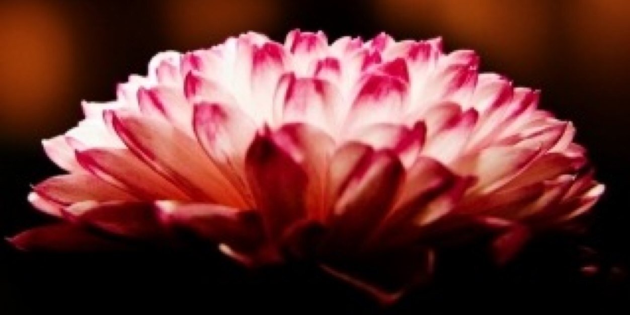 niemankm's profile banner image