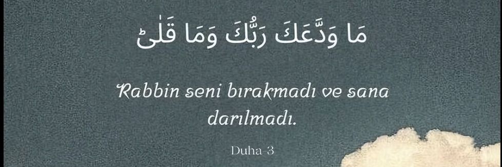 Narin Delâl ☀️ banner
