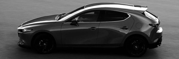 anitarhj Profile Banner