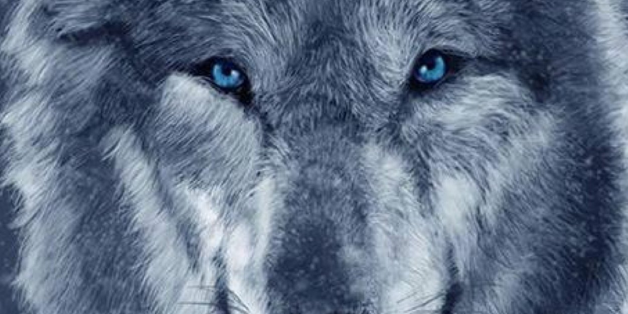 har_kab's profile banner image