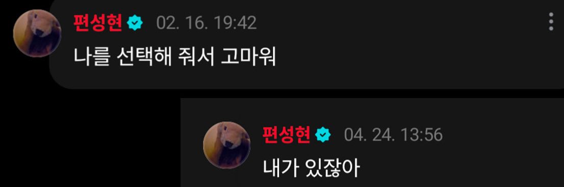 RedCAT || 🐈‍⬛🎸📷🤘 banner