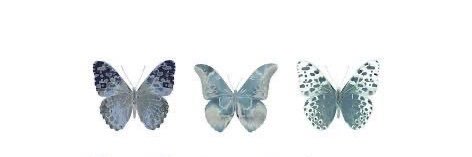 laracreighton's profile banner image