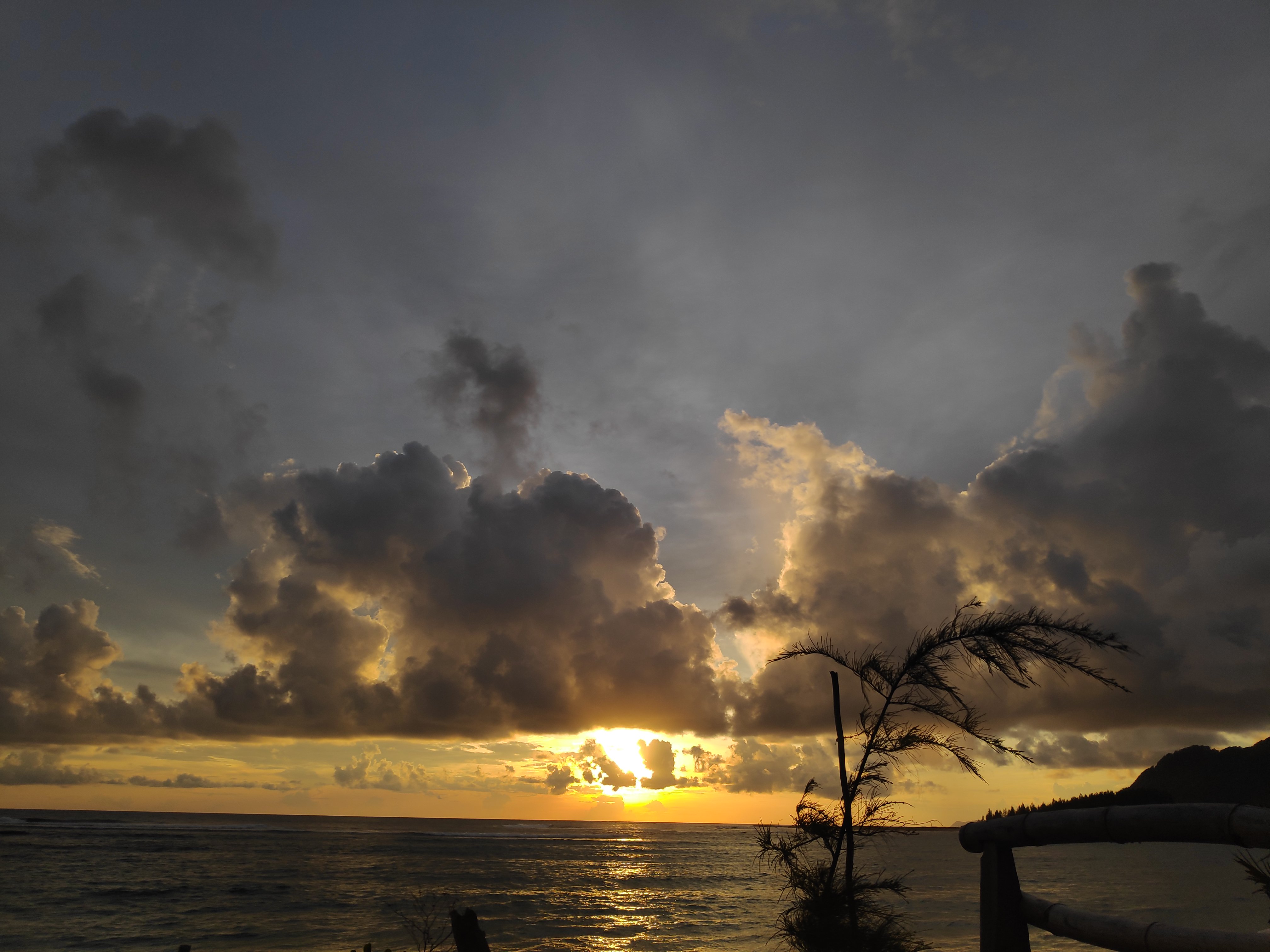 apis_adnan's profile banner image
