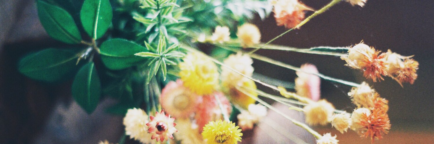 naturalmgm's profile banner image