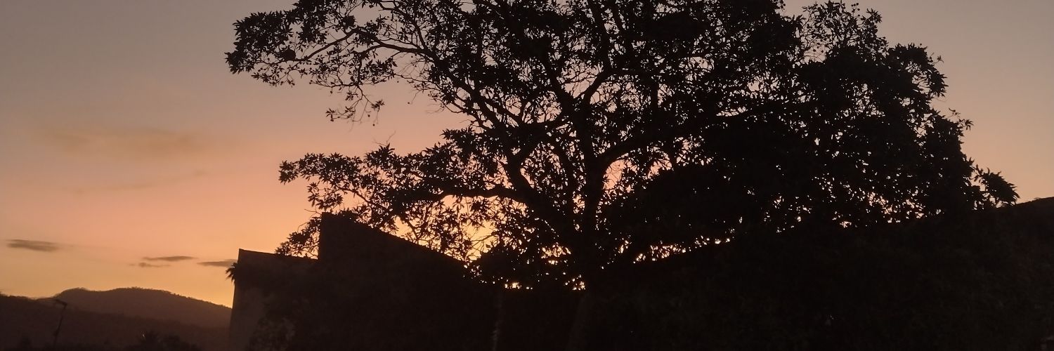 ismariavc's profile banner image