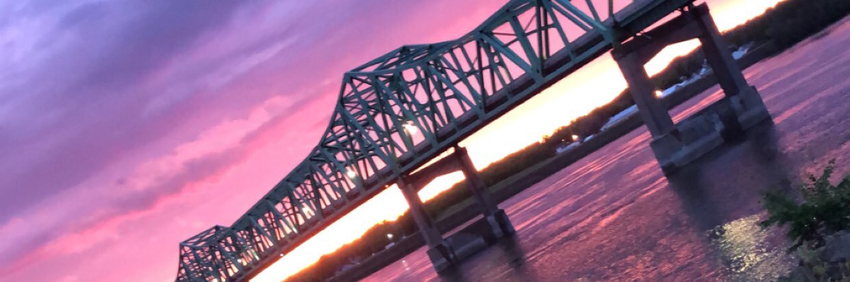 Punkyyann's profile banner image