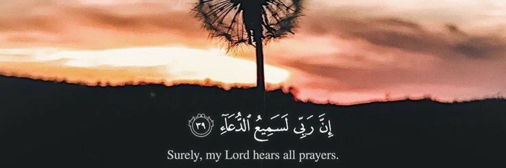 djulaekhas's profile banner image