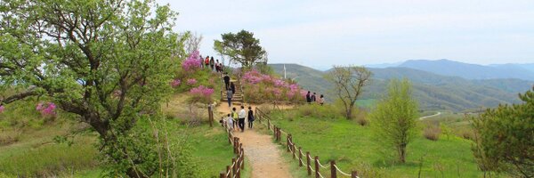 jhdotcom Profile Banner