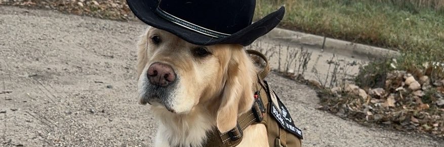 Big_Beee19's profile banner image