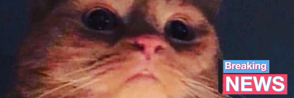 raggitytooth's profile banner image