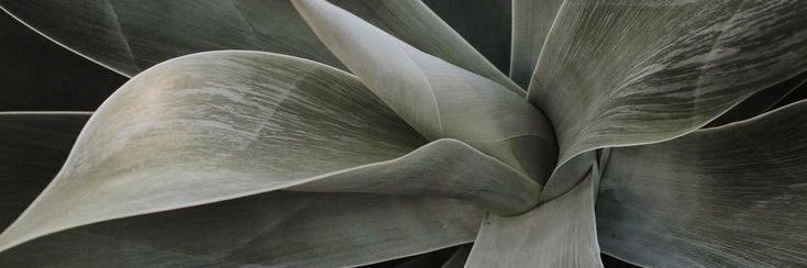 T, banner
