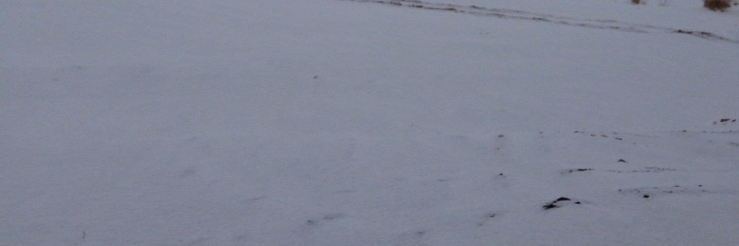 mashh911's profile banner image