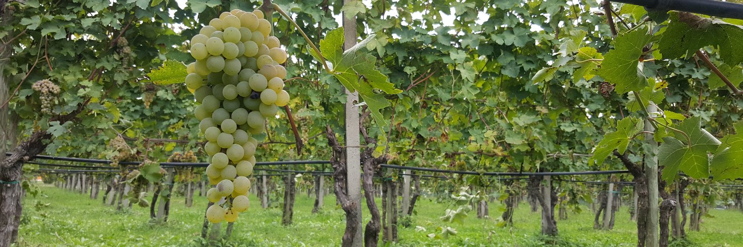 CREIAMO Project (Circular Economy) banner