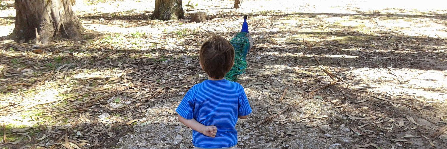 Celeste Morasso banner