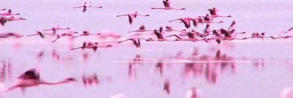 715836503's profile banner image