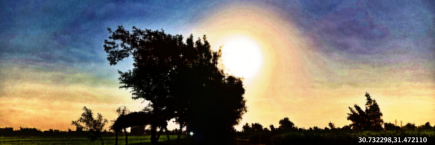 Ma7modBeloo's profile banner image