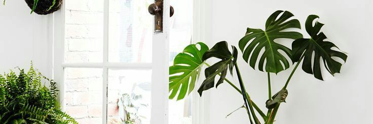 yamsi_'s profile banner image