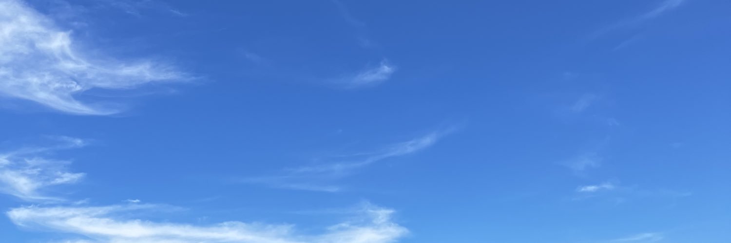 evitriani's profile banner image