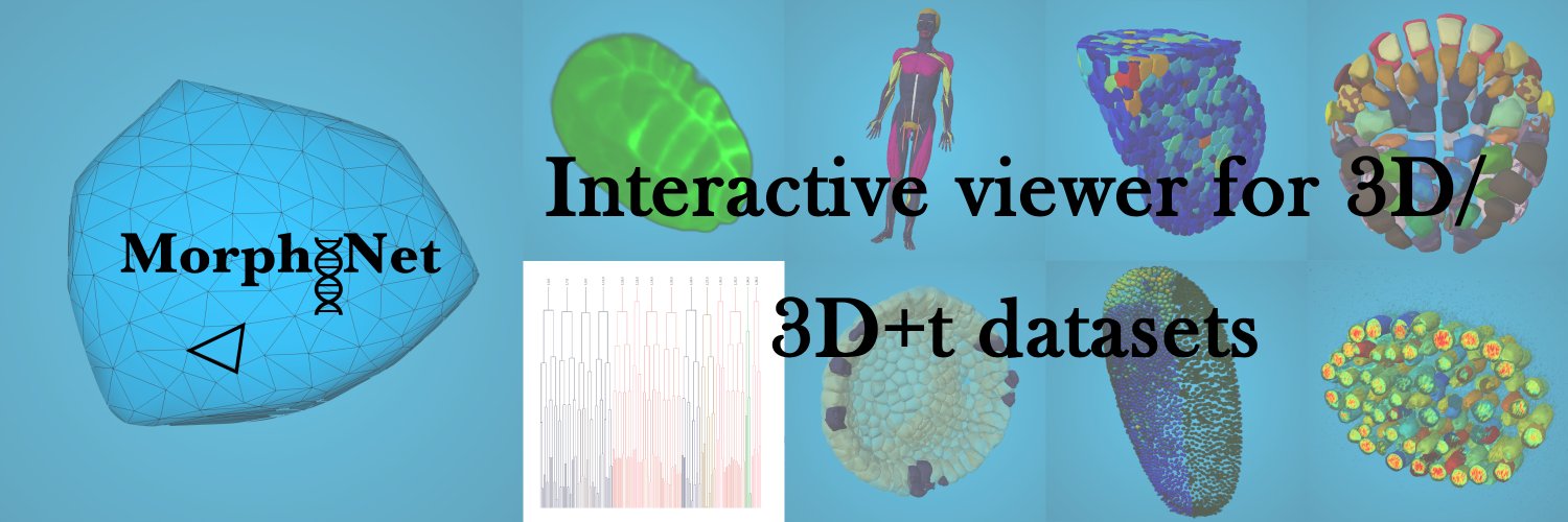 MorphoNet banner