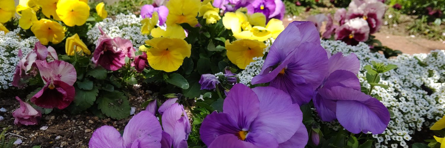 loverywing0705's profile banner image