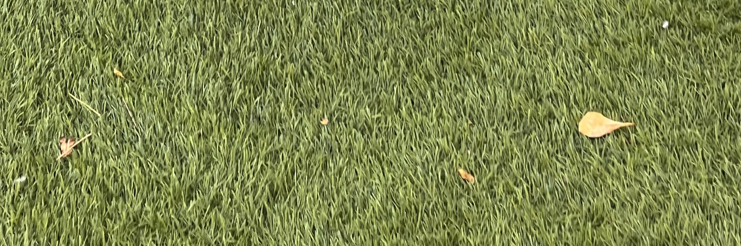 c banner