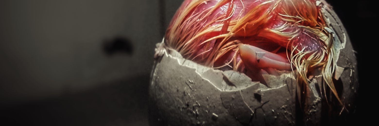 efkandos's profile banner image