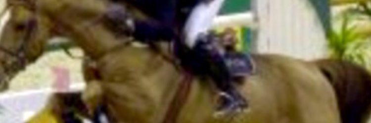 escassiOficial's profile banner image