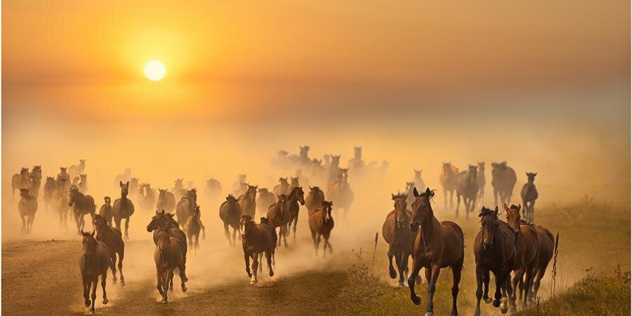 Nosu （らきのす） banner