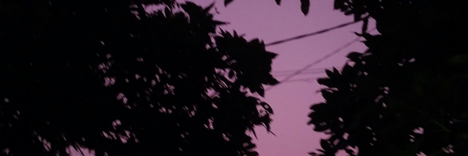 mango__soup's profile banner image