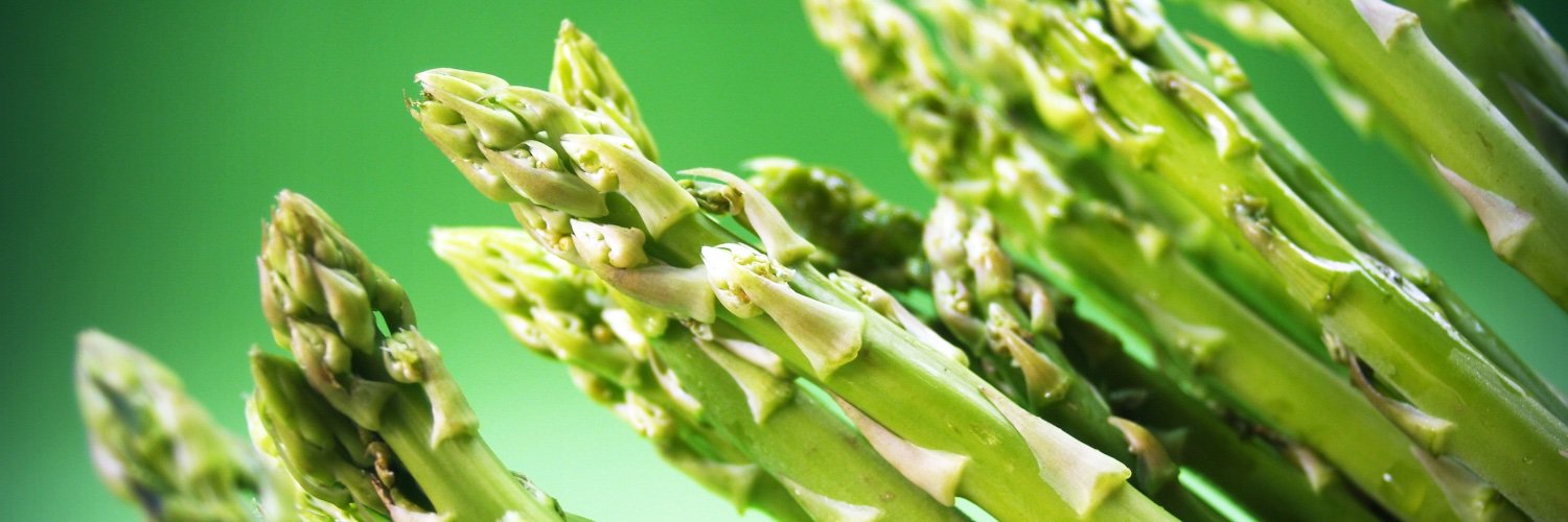 Akorn Technology banner