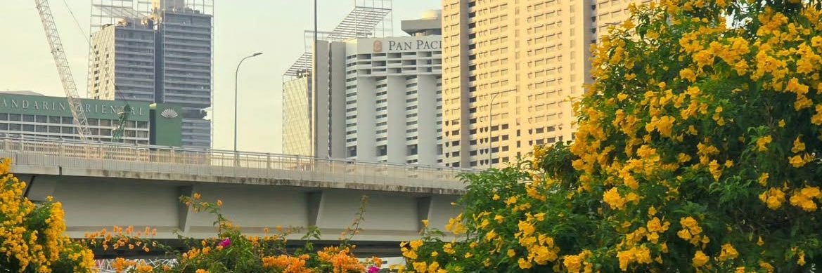 THE ฟิน •´¯`•💙💛 banner