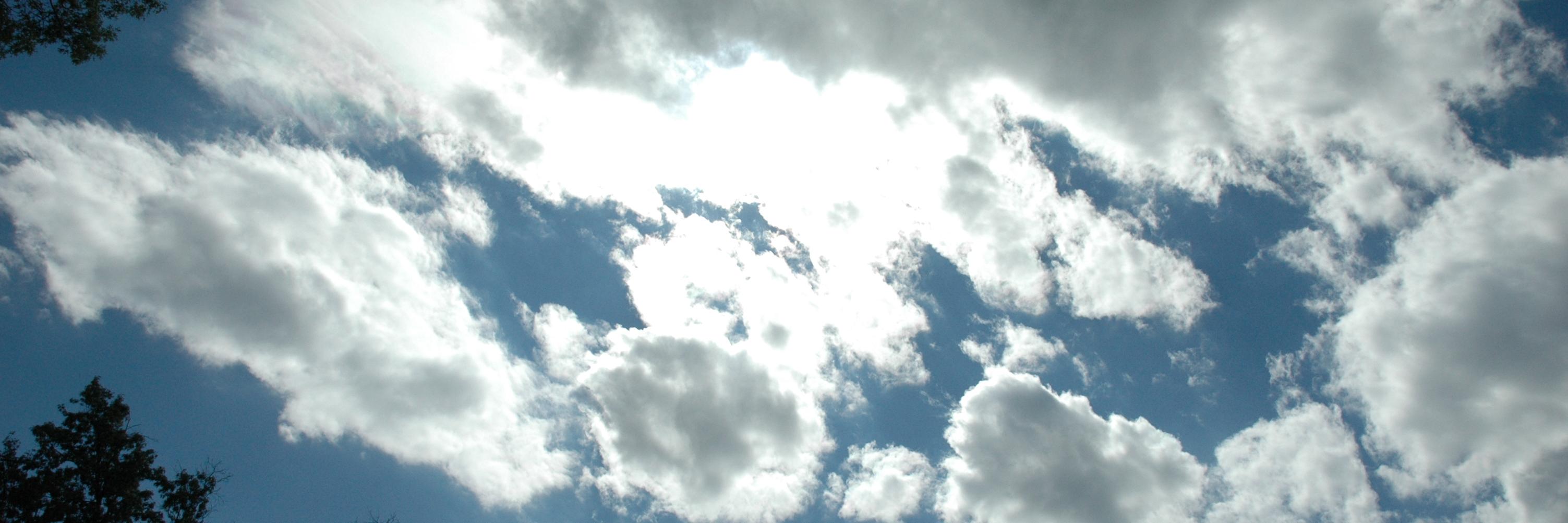 sassymanjohnson's profile banner image