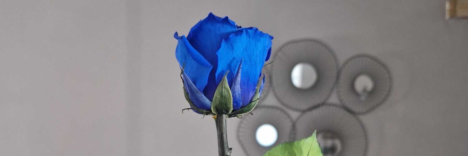 sihane_com's profile banner image