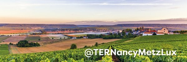 TERNancyMetzLux Profile Banner