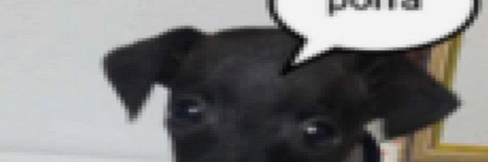 Jean só que sem o jeovane banner