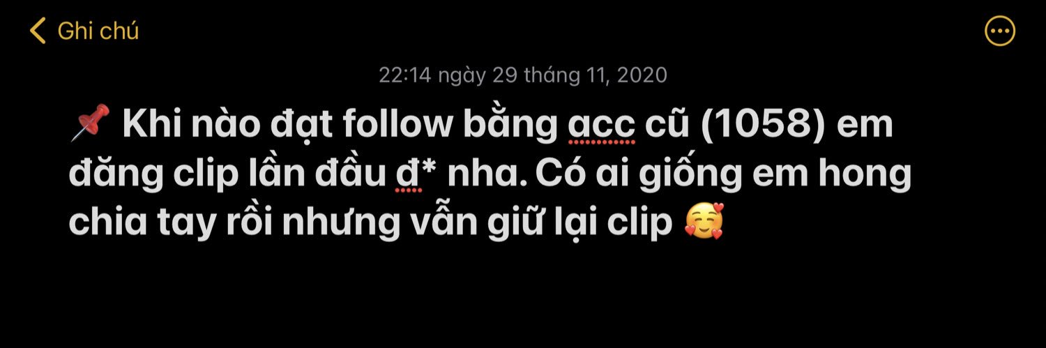 ThaoLinh banner