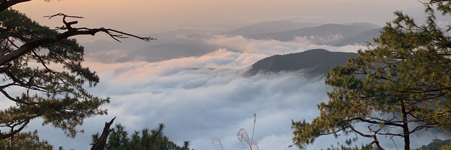 tomasavickas's profile banner image