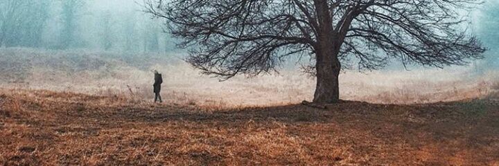 _Meltemb_'s profile banner image