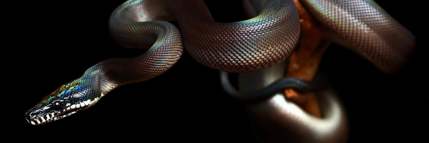 Rodrigo Dennye banner