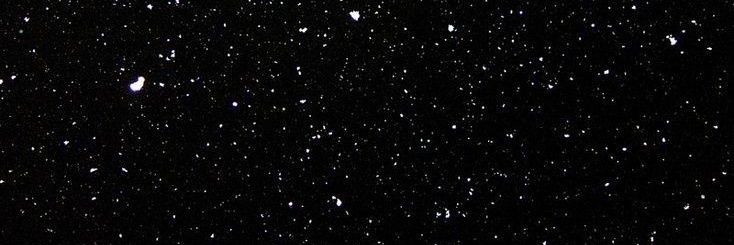 N A N C Y banner