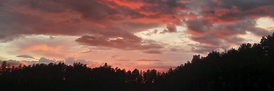yeahhlena's profile banner image