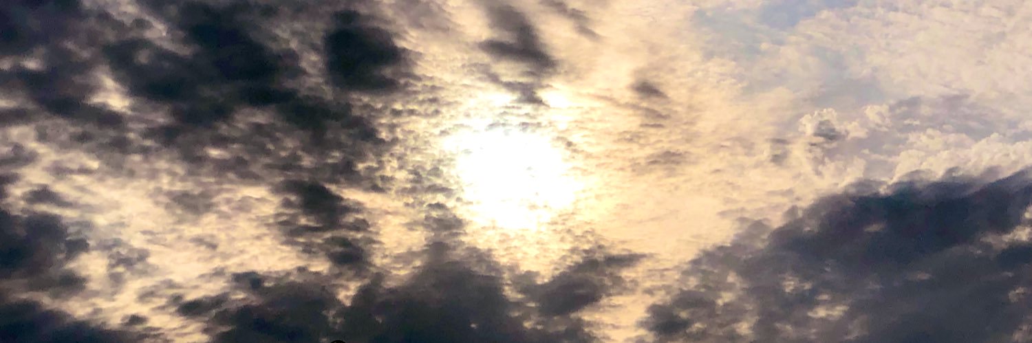 Basudhara Sen banner