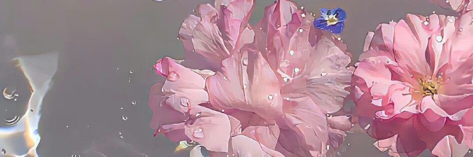 Bri banner