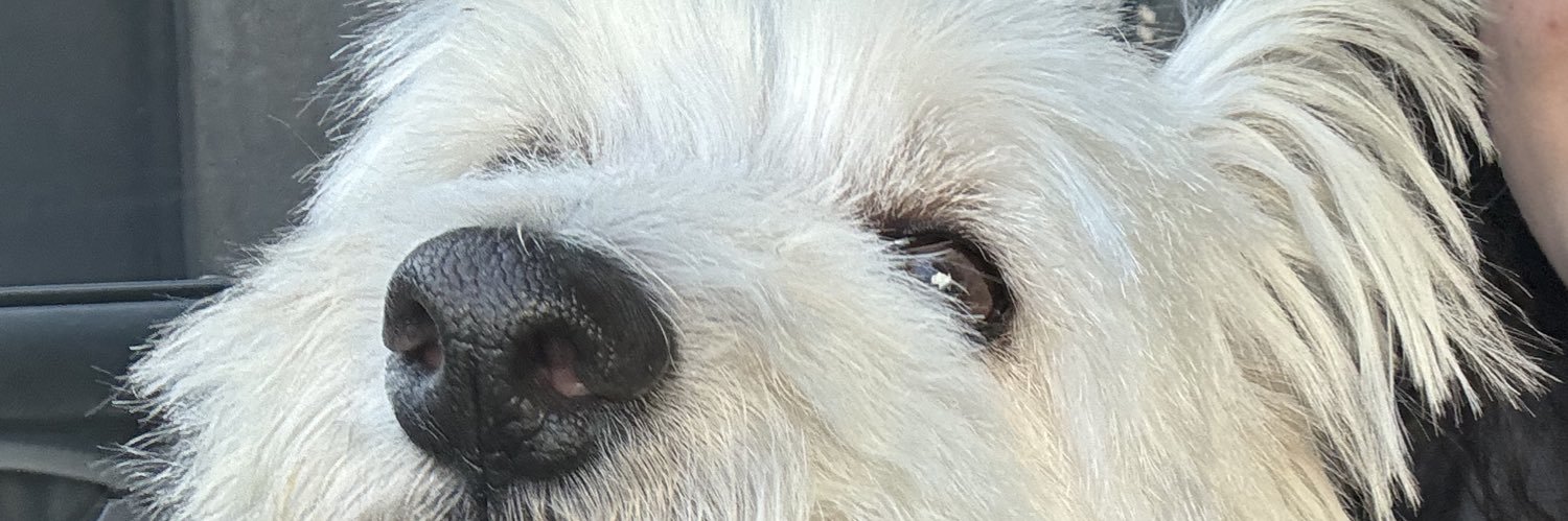 _baemmaa's profile banner image