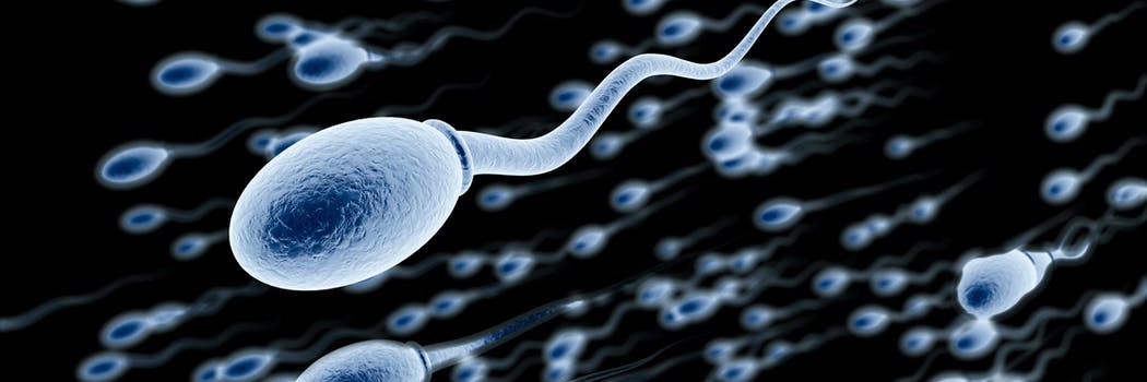 DAVIDBM (3.9k) banner