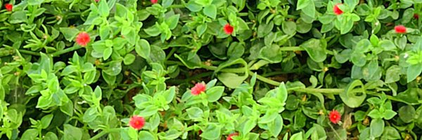 MattMueller Profile Banner