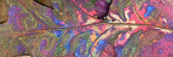 VisualArtHumble Profile Banner